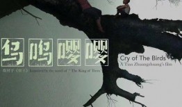 电影鸟鸣在线观看,一场关于自然与生命的深情交响